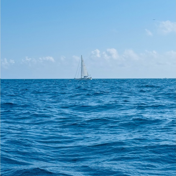 … - Picture 11 of 16